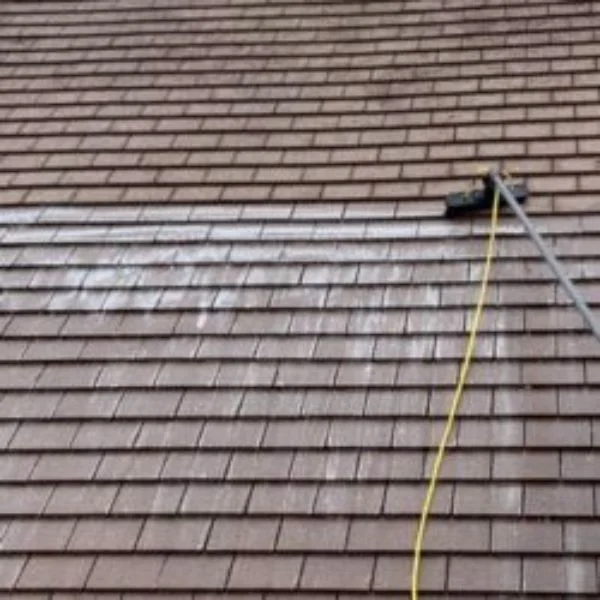 professional roof cleaners worcester
