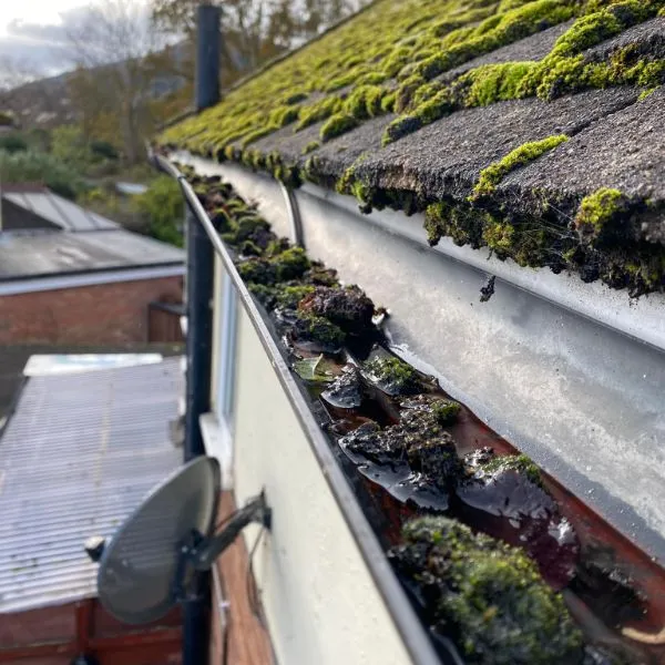 gutter-cleaners-in-worcester.webp
